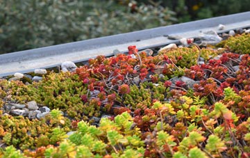the cost of Thurlbear green roof installation