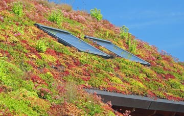 Thurlbear living roof systems